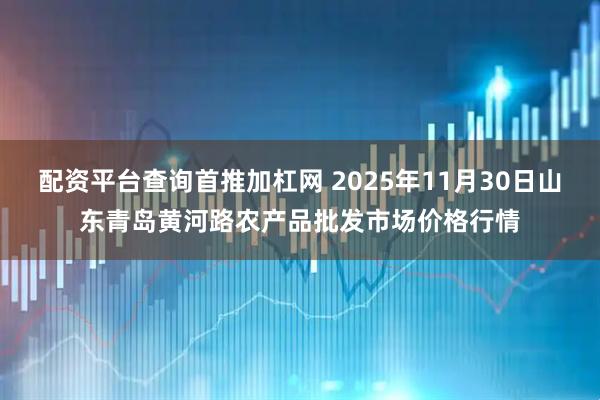 配资平台查询首推加杠网 2025年11月30日山东青岛黄河路农产品批发市场价格行情